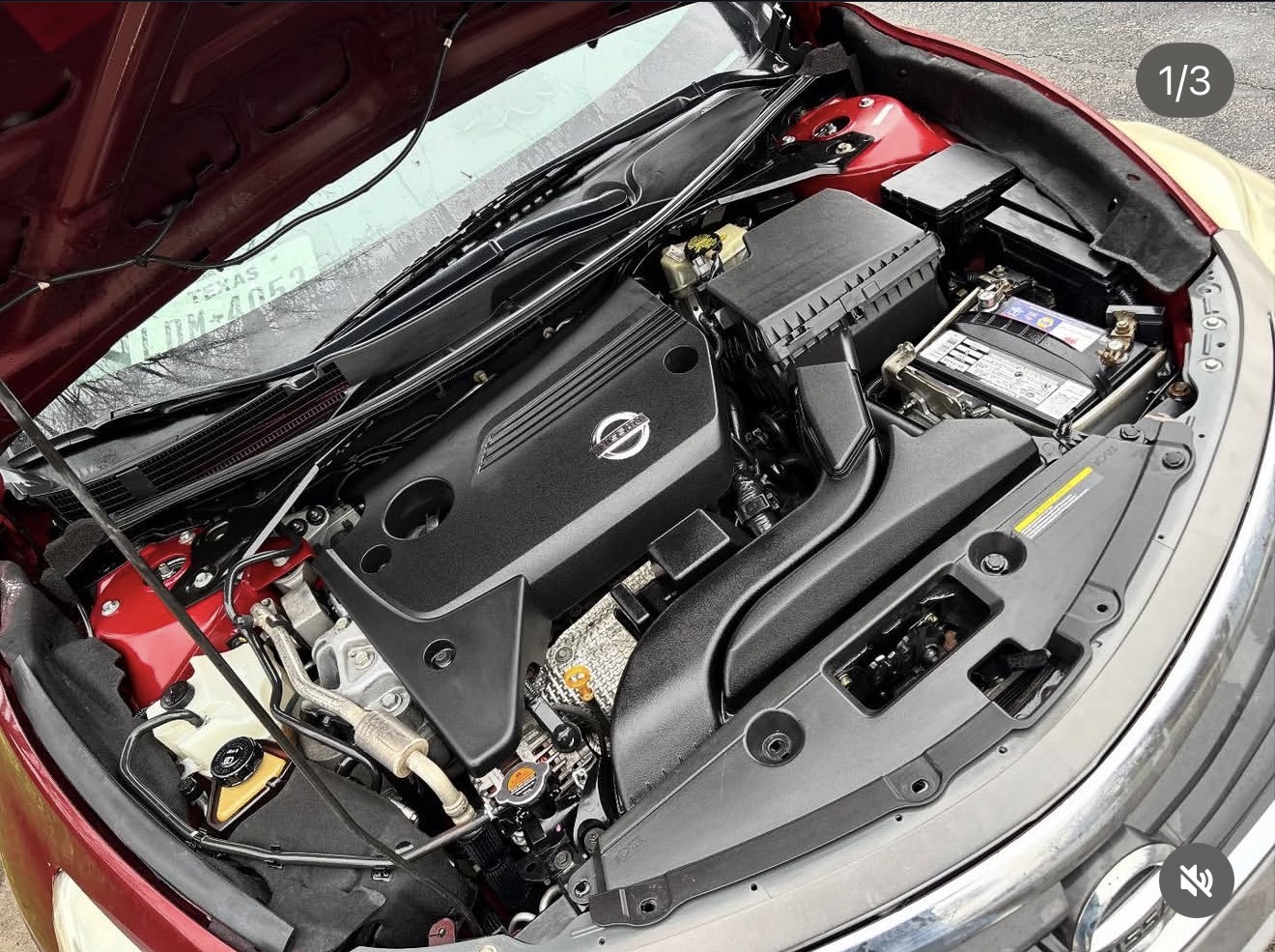 Engine bay after detailing