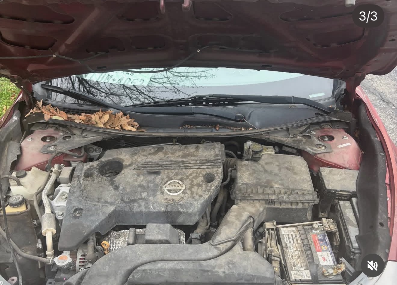 Engine bay before detailing